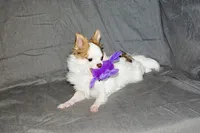 processed/c4479aa9-4f03-4eec-996c-99411a5657d5/listing/3040e7e0-a87a-467e-9614-f88f744b4e50/eb7221d2-5c3f-451f-85e1-20ddb6cebbc0