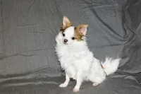 processed/c4479aa9-4f03-4eec-996c-99411a5657d5/listing/3040e7e0-a87a-467e-9614-f88f744b4e50/fa28e277-bf66-4b30-b3a4-9c89f3eaa20d