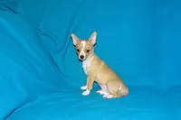 processed/c4479aa9-4f03-4eec-996c-99411a5657d5/listing/57f3b63e-daf2-4750-81ca-74215389510d/03960747-2afa-4862-9dad-90f8614f47f3