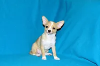 processed/c4479aa9-4f03-4eec-996c-99411a5657d5/listing/57f3b63e-daf2-4750-81ca-74215389510d/1edb3740-4693-4287-8e9b-80b806aed5ae