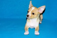 processed/c4479aa9-4f03-4eec-996c-99411a5657d5/listing/57f3b63e-daf2-4750-81ca-74215389510d/70593971-c0fa-4aa4-8b37-735ed21224dd