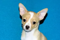 processed/c4479aa9-4f03-4eec-996c-99411a5657d5/listing/57f3b63e-daf2-4750-81ca-74215389510d/efe2bb4e-4e00-43ab-a9e4-bdd1110cc60c