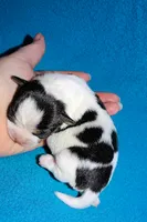 processed/c4479aa9-4f03-4eec-996c-99411a5657d5/listing/dcccdc3a-5049-4a81-b034-1cb8e7a332cd/2b2f4439-bc18-47b4-9363-9ced7bc669a2