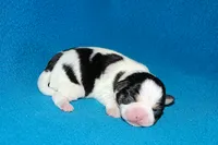 processed/c4479aa9-4f03-4eec-996c-99411a5657d5/listing/dcccdc3a-5049-4a81-b034-1cb8e7a332cd/da8abe8d-0f3e-4cdb-b296-2196a46af9e3