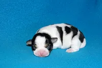 processed/c4479aa9-4f03-4eec-996c-99411a5657d5/listing/dcccdc3a-5049-4a81-b034-1cb8e7a332cd/e903839a-0e54-4a20-aae2-e6eee983133c