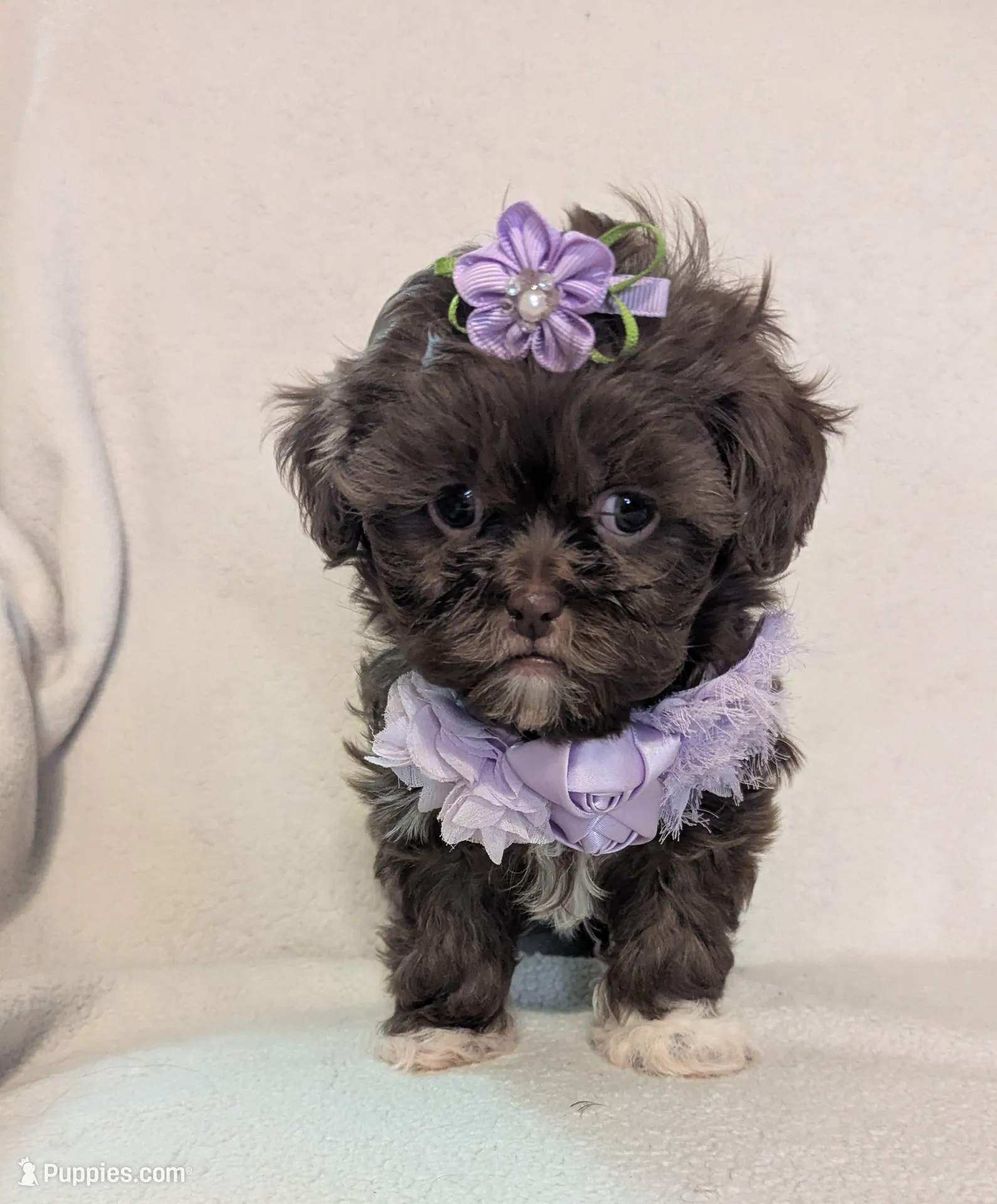 processed/c44d0b5b-cde9-4cdb-a48a-b844ffe0ae0c/listing/245ab4cd-5bb8-40b1-aa1f-b9bfd0447e73/086b047b-427f-4622-8b24-e349099ed813