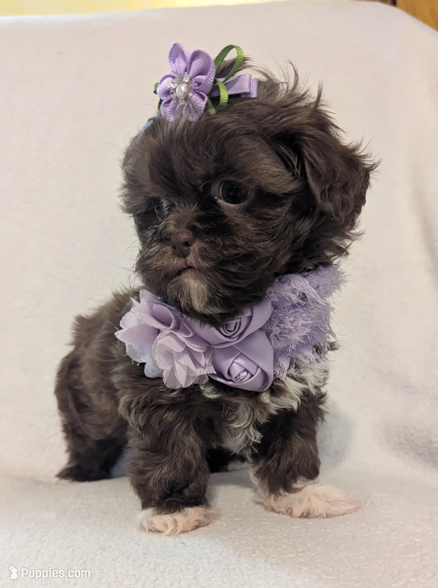 processed/c44d0b5b-cde9-4cdb-a48a-b844ffe0ae0c/listing/245ab4cd-5bb8-40b1-aa1f-b9bfd0447e73/99888a1d-0c30-4033-901d-508a2aef39f0