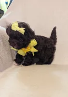 processed/c44d0b5b-cde9-4cdb-a48a-b844ffe0ae0c/listing/8f8108d6-93e9-4987-9235-f02a7bcceadd/788ad5db-4a0e-4689-b11f-466f9571a1dd