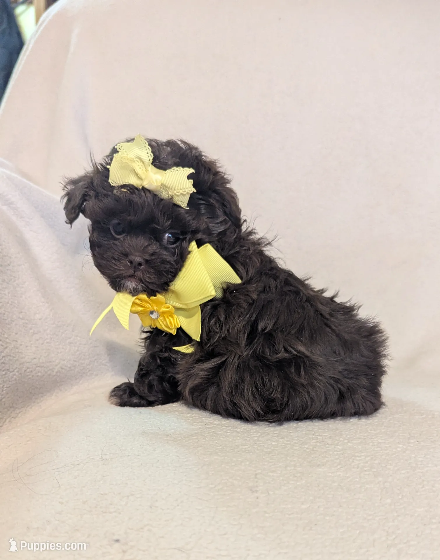 processed/c44d0b5b-cde9-4cdb-a48a-b844ffe0ae0c/listing/8f8108d6-93e9-4987-9235-f02a7bcceadd/9e67cd4b-32f2-4051-a97b-00f0ce9ec8fd