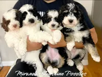 processed/c44ea61c-64a5-41c8-8bfb-337a392856e9/facility/4c39209b-9d5c-4a96-b575-ab44c23d0f4d