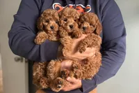 processed/c44ea61c-64a5-41c8-8bfb-337a392856e9/facility/636a5f70-7915-48e4-8e9d-4d8f11c04c47