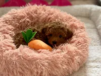 processed/c44ea61c-64a5-41c8-8bfb-337a392856e9/facility/863620b3-0724-42be-aef8-5b60cae44de1