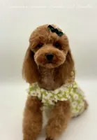 processed/c44ea61c-64a5-41c8-8bfb-337a392856e9/facility/a2b589c1-9e72-495e-a97a-f3f18e4a841b