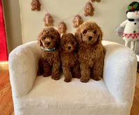 processed/c44ea61c-64a5-41c8-8bfb-337a392856e9/facility/c072daad-5b14-4ccf-831c-fc8ef049bc4e