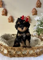 processed/c44ea61c-64a5-41c8-8bfb-337a392856e9/facility/f8e86b23-7d46-4262-acb9-50635b1a26a8