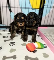 processed/c44ea61c-64a5-41c8-8bfb-337a392856e9/listing/277f5849-79f1-453e-ae84-2902672b2d04/05bfa026-29da-4a5f-bb02-1bd37b651a01