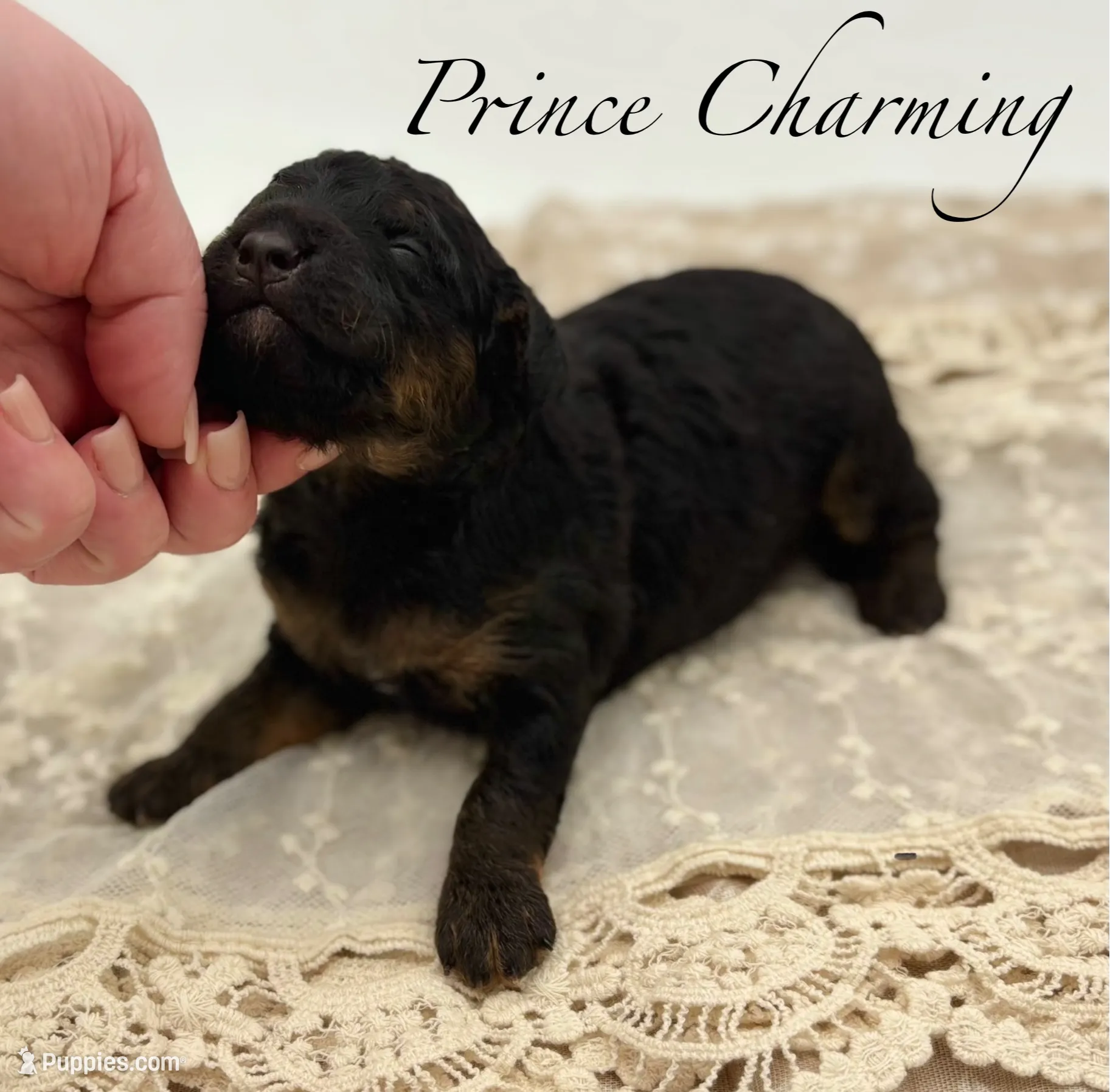 processed/c44ea61c-64a5-41c8-8bfb-337a392856e9/listing/277f5849-79f1-453e-ae84-2902672b2d04/0bbd9c6c-2e23-49c0-8d1e-d793eb7ae9e5