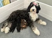 processed/c44ea61c-64a5-41c8-8bfb-337a392856e9/listing/277f5849-79f1-453e-ae84-2902672b2d04/0c5f1c0e-90c2-4b93-bff8-d1e22a222ac0