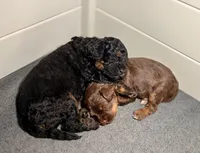 processed/c44ea61c-64a5-41c8-8bfb-337a392856e9/listing/277f5849-79f1-453e-ae84-2902672b2d04/1976b838-2e8e-4138-84f5-dd3e72ebb5f9