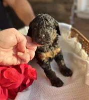 processed/c44ea61c-64a5-41c8-8bfb-337a392856e9/listing/277f5849-79f1-453e-ae84-2902672b2d04/33d03832-baf9-4e77-b1c7-1457a39a6d82