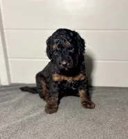 processed/c44ea61c-64a5-41c8-8bfb-337a392856e9/listing/277f5849-79f1-453e-ae84-2902672b2d04/ed5e03c8-c6dc-4c51-a095-c6c9e646e91a