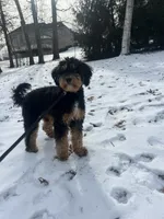 processed/c44ea61c-64a5-41c8-8bfb-337a392856e9/listing/31f01cc5-e36f-42fc-ab3c-bd3bdc5e9b89/0fd7aa65-fd9c-48c4-a318-71f24622dcb2