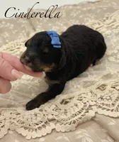 processed/c44ea61c-64a5-41c8-8bfb-337a392856e9/listing/31f01cc5-e36f-42fc-ab3c-bd3bdc5e9b89/447b6f50-4f55-4b1c-8ba8-6d67f2491162