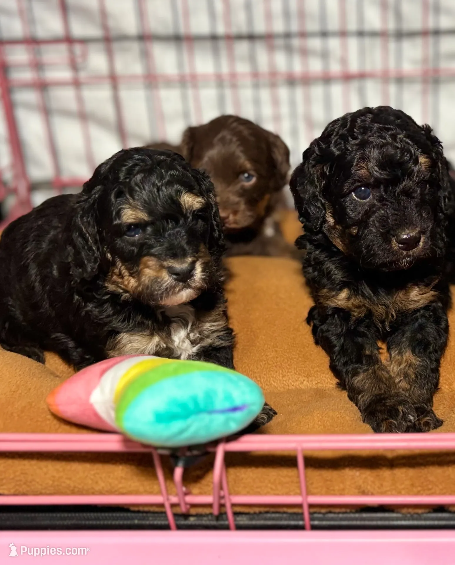 processed/c44ea61c-64a5-41c8-8bfb-337a392856e9/listing/31f01cc5-e36f-42fc-ab3c-bd3bdc5e9b89/70c0f789-663d-4b43-89c4-3fe1974ccd0e