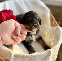 processed/c44ea61c-64a5-41c8-8bfb-337a392856e9/listing/31f01cc5-e36f-42fc-ab3c-bd3bdc5e9b89/b49301df-1d9b-4693-892d-77c88f4ae0f2