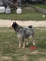 processed/c4508578-2f96-4121-a483-37fb8af57660/listing/a26bb74b-a3cd-4a75-9c6d-b1f0a8e6a568/09ae7fbe-4c63-4dab-95eb-c1518c087335