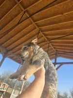 processed/c4508578-2f96-4121-a483-37fb8af57660/listing/a26bb74b-a3cd-4a75-9c6d-b1f0a8e6a568/8fffcae1-78ee-417d-a53f-7ab47aa109d1