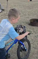 processed/c4508578-2f96-4121-a483-37fb8af57660/listing/a26bb74b-a3cd-4a75-9c6d-b1f0a8e6a568/a79dfdcc-8ebb-47ab-b879-02cab84f3bb1