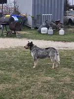 processed/c4508578-2f96-4121-a483-37fb8af57660/listing/a26bb74b-a3cd-4a75-9c6d-b1f0a8e6a568/affadff7-8f41-4804-b56f-93c3aba36466