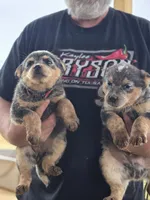 processed/c4508578-2f96-4121-a483-37fb8af57660/listing/a26bb74b-a3cd-4a75-9c6d-b1f0a8e6a568/be6ad9af-a2c0-425d-b385-dc8649337a2b