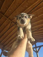 processed/c4508578-2f96-4121-a483-37fb8af57660/listing/a26bb74b-a3cd-4a75-9c6d-b1f0a8e6a568/c54b3e36-92fa-42de-8a58-2bd664192f50