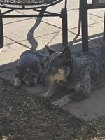 processed/c4508578-2f96-4121-a483-37fb8af57660/listing/a26bb74b-a3cd-4a75-9c6d-b1f0a8e6a568/e03616c8-03ba-416f-b49f-604c86379194