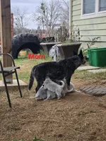 processed/c4508578-2f96-4121-a483-37fb8af57660/listing/a26bb74b-a3cd-4a75-9c6d-b1f0a8e6a568/e57bd186-2736-419c-b205-989e518bdd50