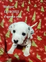 processed/c4519673-0ae8-4bae-b85e-dd85206da14d/listing/4cf96f5c-293f-49bb-94a0-b1549845cc7e/7b5251c6-c876-4a6e-81b1-9e1548afe7c2