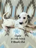 processed/c4519673-0ae8-4bae-b85e-dd85206da14d/listing/97a72ab2-488a-462f-a581-9cabebf4f62c/4be18c05-75a7-4b0f-9b46-e267c56aa53c