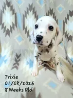 processed/c4519673-0ae8-4bae-b85e-dd85206da14d/listing/d4d90a9f-c5cf-405f-994e-0336ee526e33/390877f3-68b6-43a3-ad64-5f57e6724823