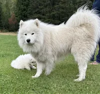 processed/c453fb22-fdcb-47a4-abc1-9d9bef362cd0/facility/0b39e5af-c2db-40ee-9867-4a4c44c58aab