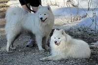 processed/c453fb22-fdcb-47a4-abc1-9d9bef362cd0/facility/3d2ef502-d260-44e4-a73f-61f10cd6a3aa