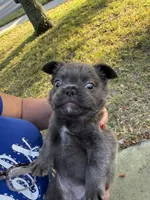 processed/c45b76bd-514e-4188-9496-bbabbf13471a/listing/10f5b1c1-2215-49f3-afbd-ba2051a8f82e/08380aaf-db04-4120-b2fd-aade2e915f93