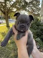 processed/c45b76bd-514e-4188-9496-bbabbf13471a/listing/10f5b1c1-2215-49f3-afbd-ba2051a8f82e/29a9df0d-5855-4ef6-8789-aeb578ceaf03