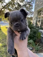 processed/c45b76bd-514e-4188-9496-bbabbf13471a/listing/10f5b1c1-2215-49f3-afbd-ba2051a8f82e/d1d65001-489f-44df-9d84-182c5fbd7984