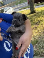 processed/c45b76bd-514e-4188-9496-bbabbf13471a/listing/10f5b1c1-2215-49f3-afbd-ba2051a8f82e/d375220f-437d-4df0-8cd8-8c8d3be56f11