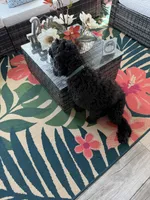 processed/c45b76bd-514e-4188-9496-bbabbf13471a/listing/22363261-b0de-42e9-8961-127bc2e08dcd/082d2e7e-85d9-496b-884a-6c647d9246e6