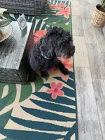 processed/c45b76bd-514e-4188-9496-bbabbf13471a/listing/22363261-b0de-42e9-8961-127bc2e08dcd/1aefd017-1e1b-4554-94cf-ac721d43e841