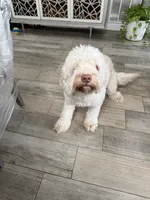 processed/c45b76bd-514e-4188-9496-bbabbf13471a/listing/891e6ef2-de71-485d-ac5e-e6cc41542090/2e127331-6712-4a72-870c-8b81aeab690e