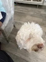 processed/c45b76bd-514e-4188-9496-bbabbf13471a/listing/891e6ef2-de71-485d-ac5e-e6cc41542090/5ce7b93f-2277-4a29-a4c5-84810f2fcdf5